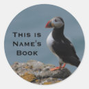 Search for puffin stickers Wild