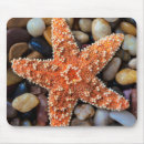 Search for animal beach mousepads Usa