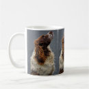 Search for english springer mugs Pet