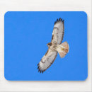Search for raptor mousepads Hawk