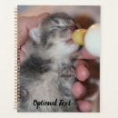 Search for crazy office supplies Kitty