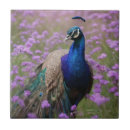 Search for blue peacock tiles Bird
