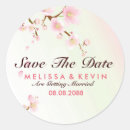Search for cherry blossoms stickers Dreamy