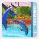 Search for dolphin lovers stickers Dolphins