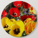 Search for tulip photos badges Flowers