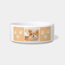 Search for chihuahua dog bowls Puppy
