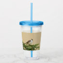Search for birds tumblers Fun