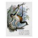 Search for vintage monkey posters Jungle