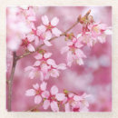 Search for blossoming barware Flowers