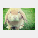 Search for bunny doormats Animals