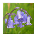 Search for native tiles Flower