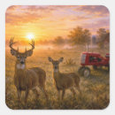Search for whitetail stickers Wildlife