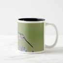 Search for texas hill country mugs Usa