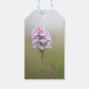 Search for orchidee Floral