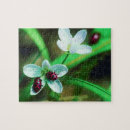 Search for ladybird puzzles Close up