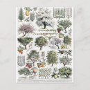 Search for plant trees postcards Botanical