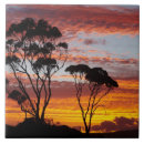 Search for gum tiles Eucalyptus
