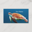 Search for turtle business cards Reptile