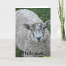 Search for baa cards Ewe