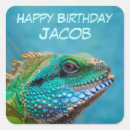 Search for iguanas stickers Reptile