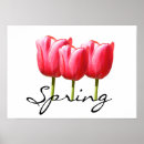 Search for tulipe posters Nature