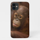 Search for baby orangutan iphone cases Wild animals