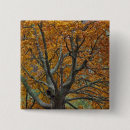 Search for autumn tree badges Maple