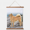 Search for finnish art Spitz
