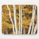 Search for beech mousepads Landscape