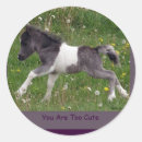 Search for pinto horse stickers Cute