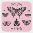 Search for vintage butterfly stickers Butterflies