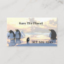 Search for penguin business cards Wildlife