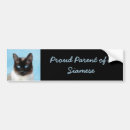 Search for siamese cat bumper stickers Cute
