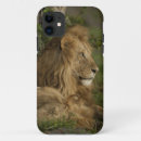 Search for panthera cases Africa