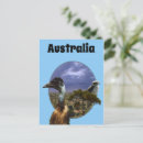 Search for under postcards Wildlife