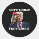 Search for anti fascist stickers Politics