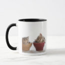 Search for sleeping kitten mugs Studio shot