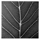 Search for black leaf tiles Nature photography