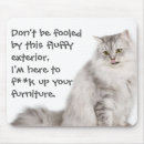 Search for fool electronics Cat