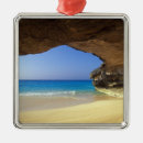 Search for remote christmas tree decorations Tropical