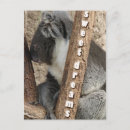 Search for nap postcards Sweet