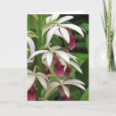 Search for nun cards Flowers