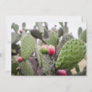 Search for prickly cards Desert
