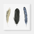 Search for feathered birds magnets Nature