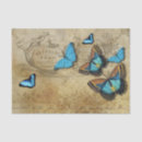 Search for decoupage butterfly tissue paper Butterflies