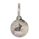 Search for babies pet supplies Animal