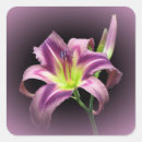 Search for daylily stickers Floral