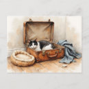 Search for funny change of address postcards Blue