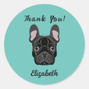 Search for french bulldog face stickers Frenchie