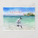 Search for orca the whale postcards Canada